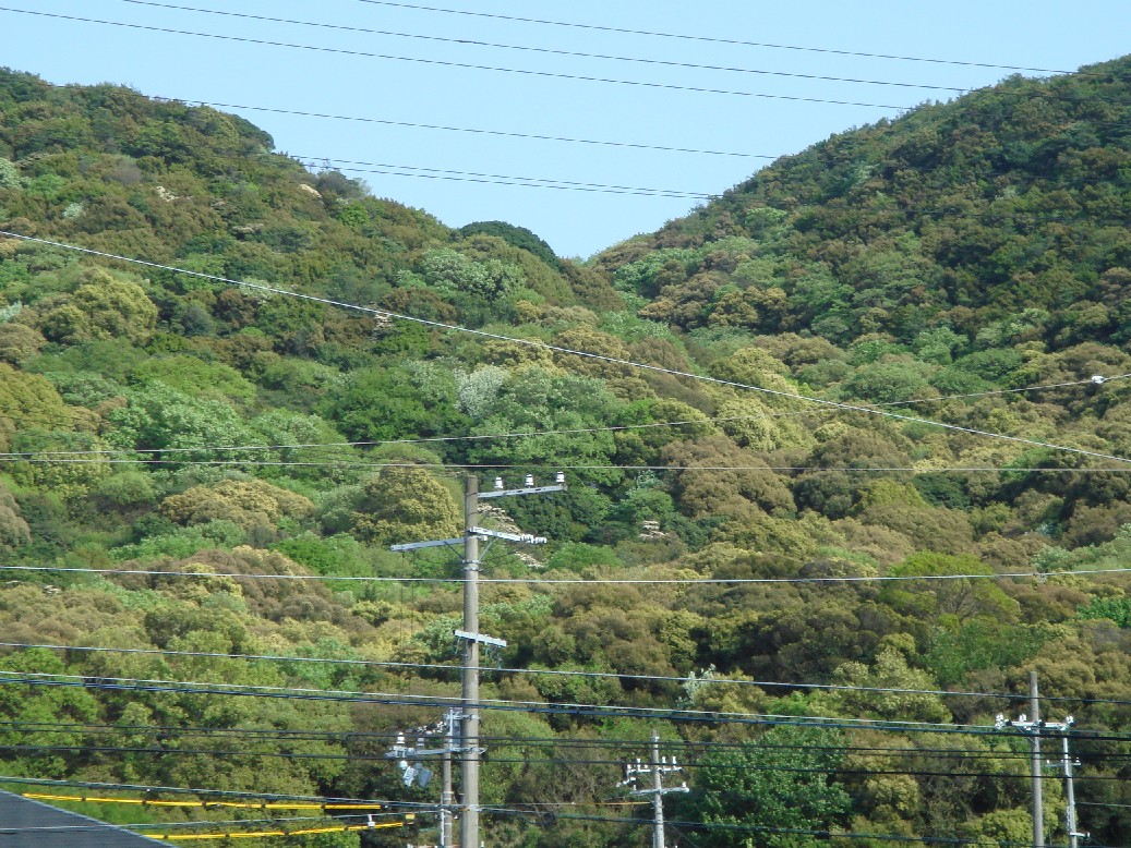 c0108460_20152783.jpg