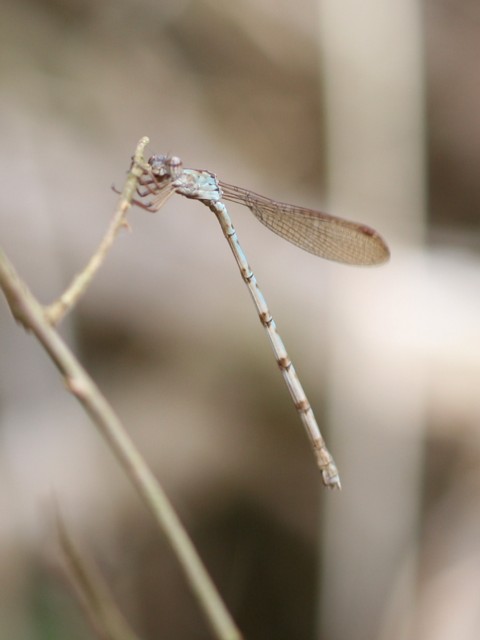 b0088772_23222448.jpg