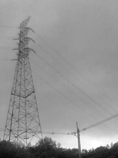 f0100480_953177.jpg
