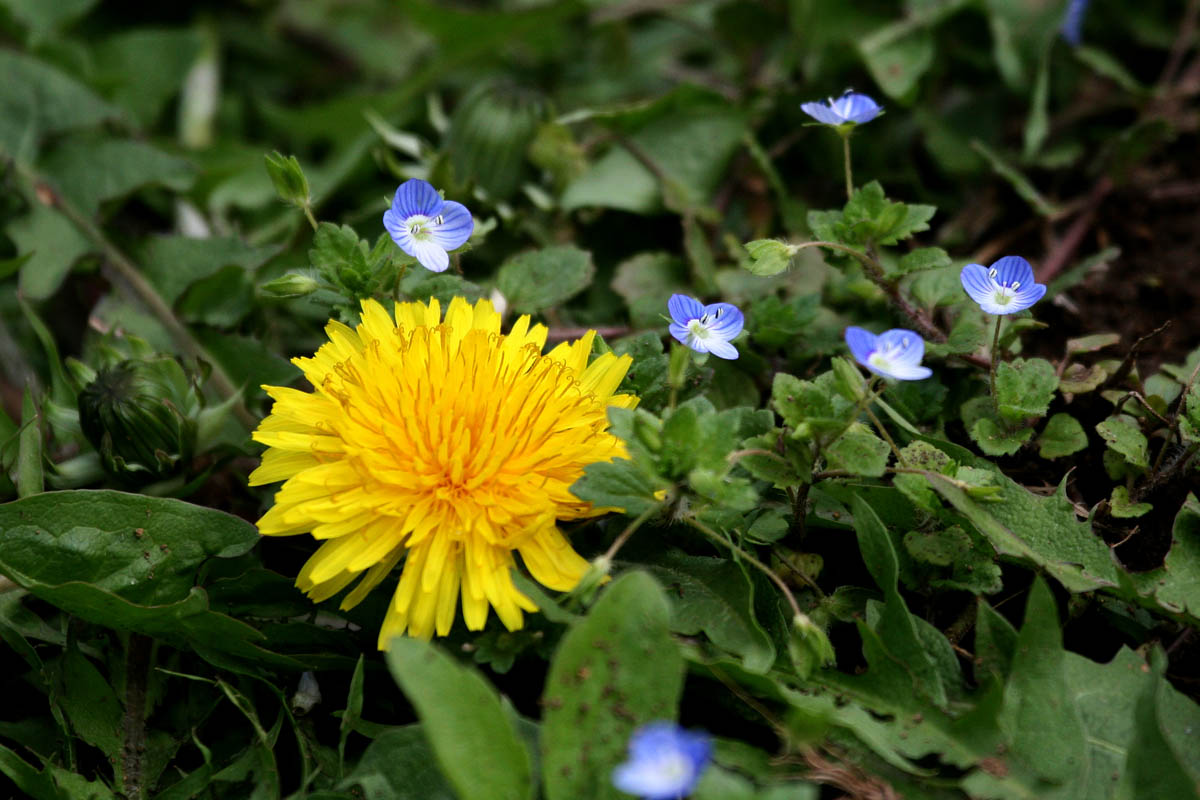 a0083081_17165724.jpg