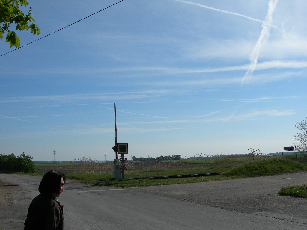 a0080183_657412.jpg