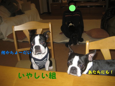 c0092787_10251254.jpg