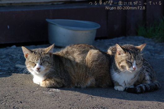 a0062697_2238321.jpg