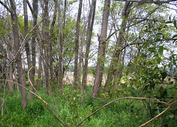 e0083097_22353739.jpg