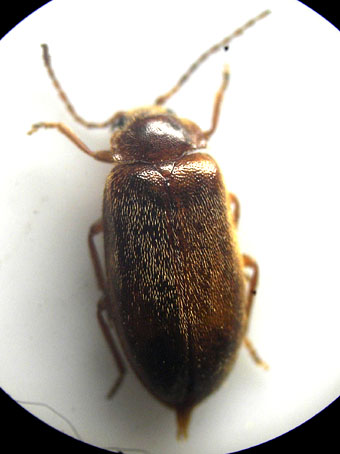 e0083097_22363721.jpg