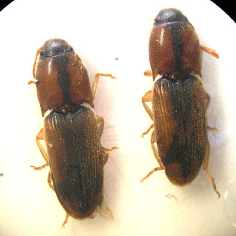 e0083097_22373891.jpg