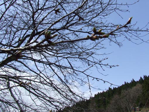 f0019498_2081061.jpg