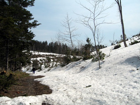 d0051707_17432040.jpg