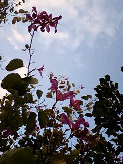 a0074110_156061.jpg