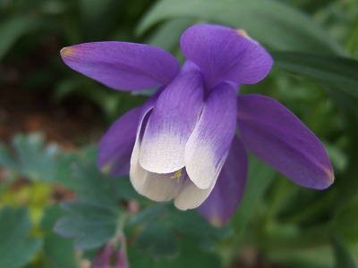 b0107310_1410035.jpg