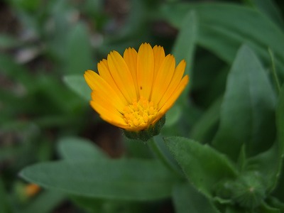 b0107310_149963.jpg
