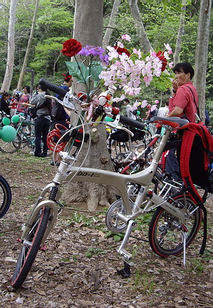 a0091314_155354.jpg