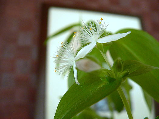a0015815_820140.jpg