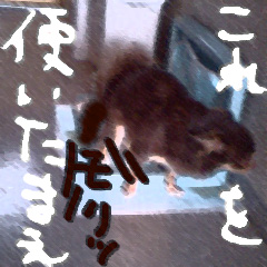 c0036617_2045683.jpg