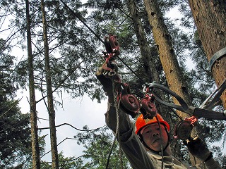 e0002820_23249.jpg