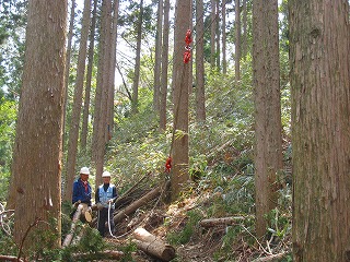 e0002820_233053.jpg