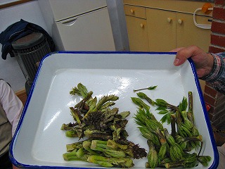 e0002820_2335384.jpg