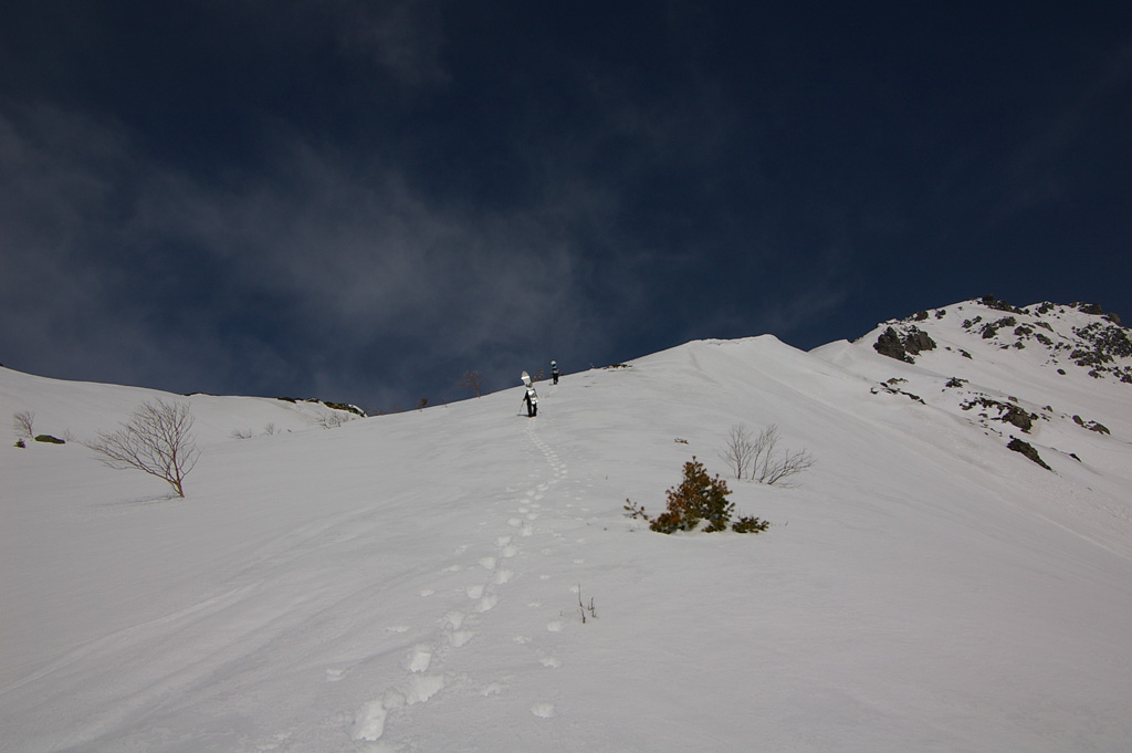b0062024_19301270.jpg