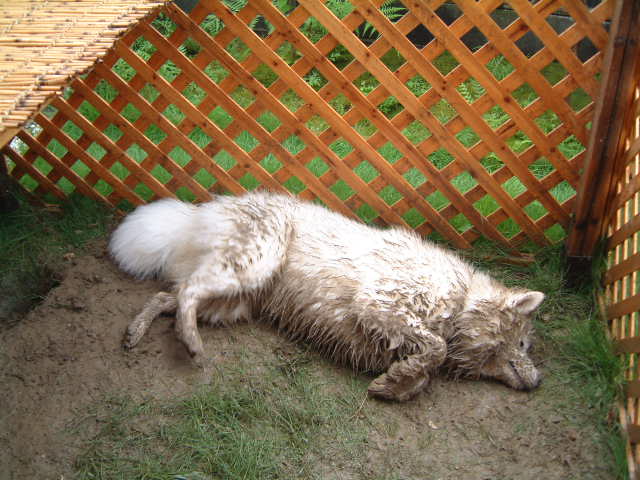 e0024126_2037867.jpg