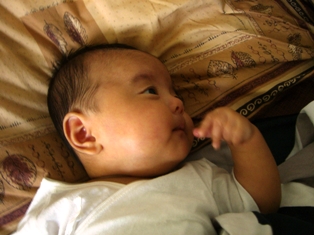 c0012532_1435335.jpg