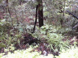 f0105732_10574071.jpg