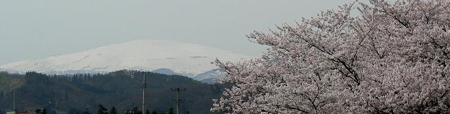f0118332_2044720.jpg