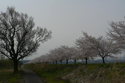f0118332_21154034.jpg