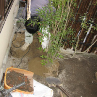 d0033734_13583462.jpg