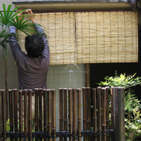 d0033734_19384869.jpg