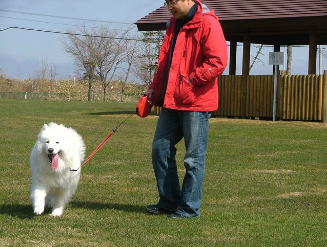 a0057237_8573665.jpg