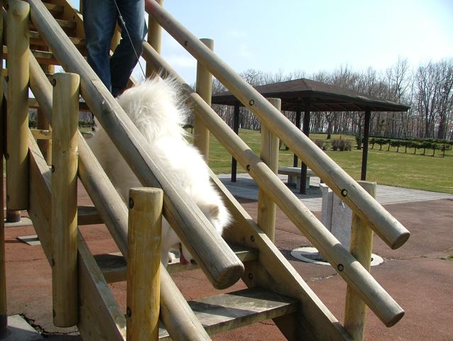 a0057237_9142722.jpg