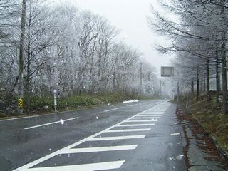 f0065341_1544866.jpg