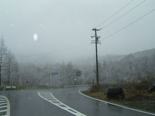 f0065341_16807.jpg