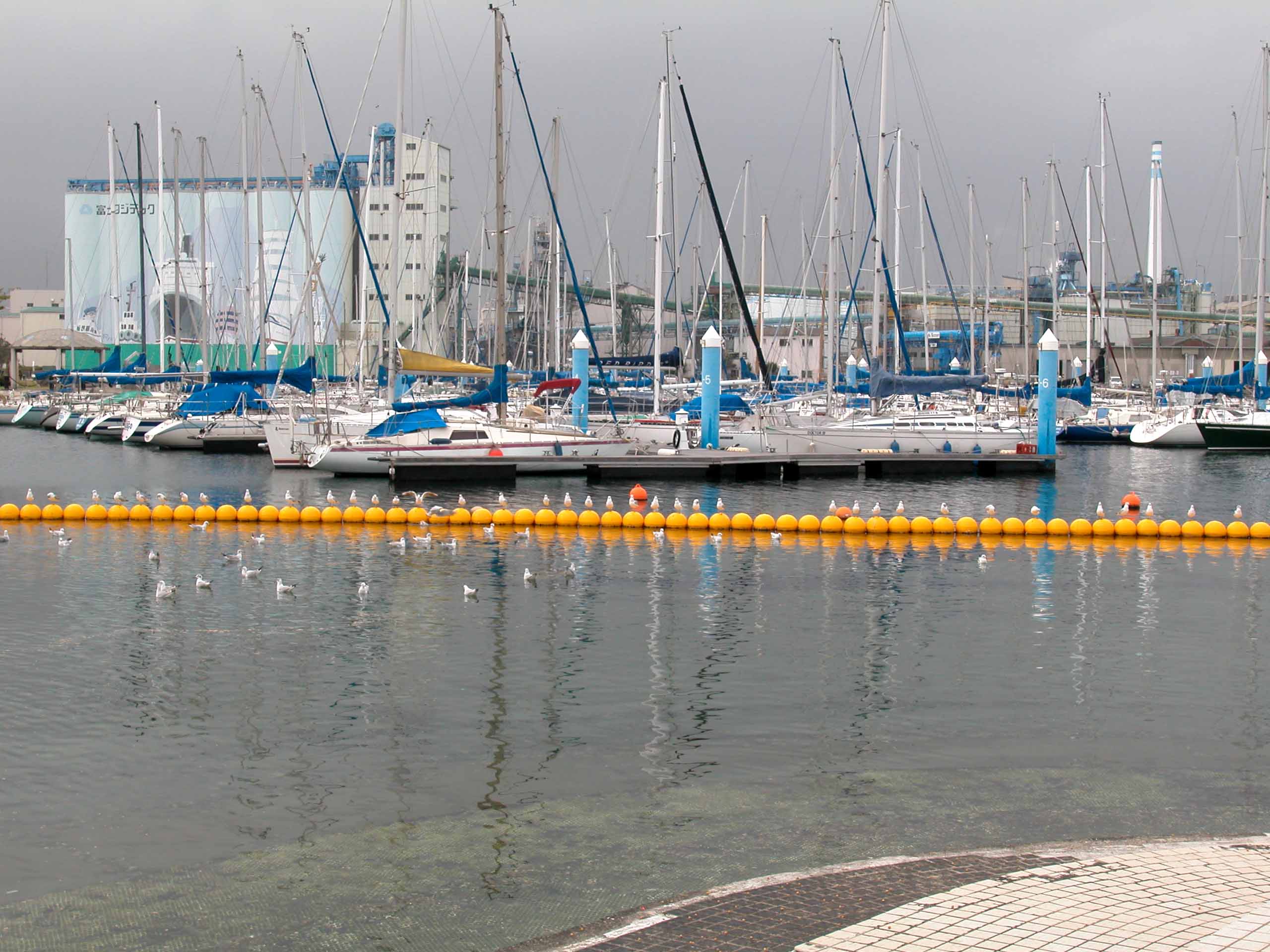 a0063846_1359971.jpg