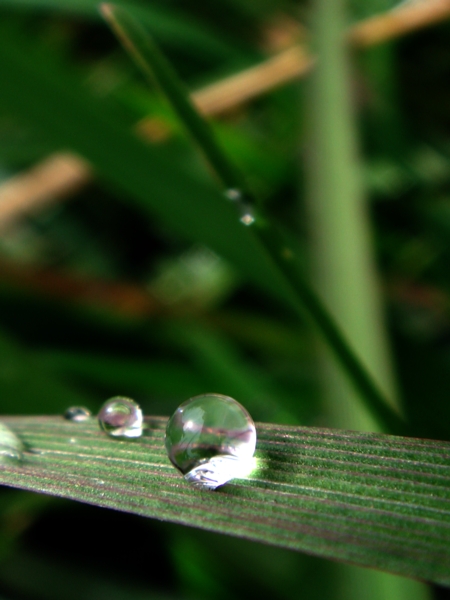 a0024250_2334694.jpg