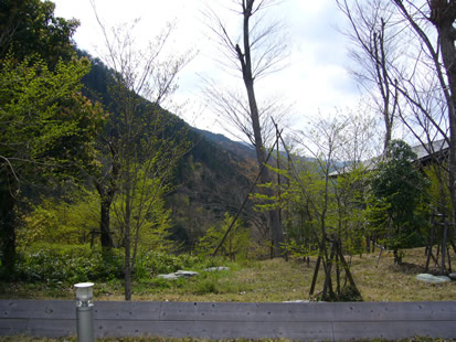 f0067354_20525290.jpg