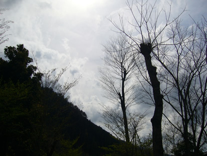 f0067354_20535681.jpg