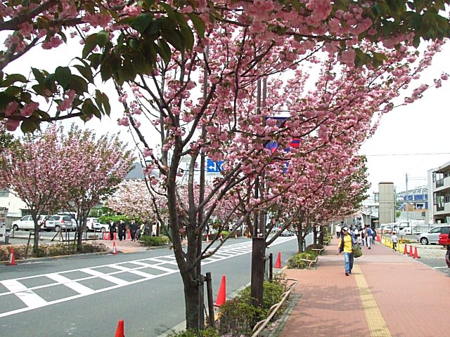 a0015766_239884.jpg