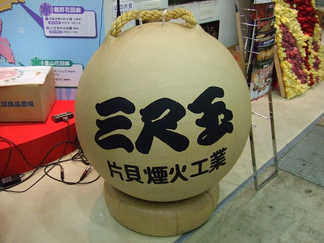 c0048667_2244470.jpg