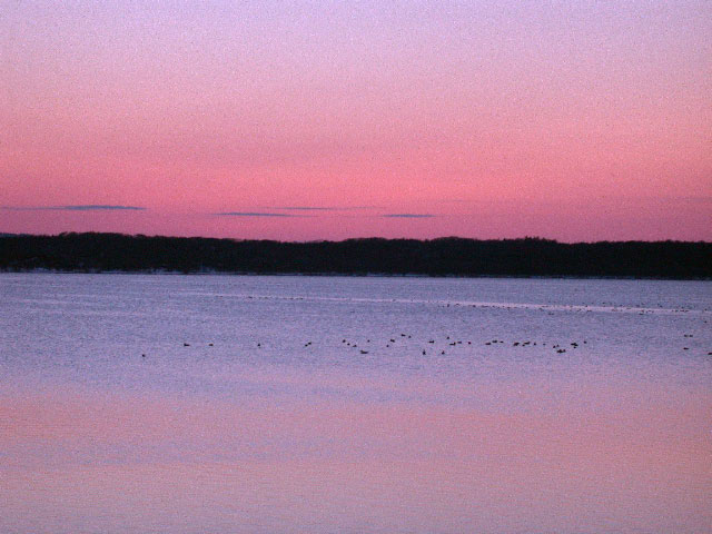 e0100772_23505025.jpg