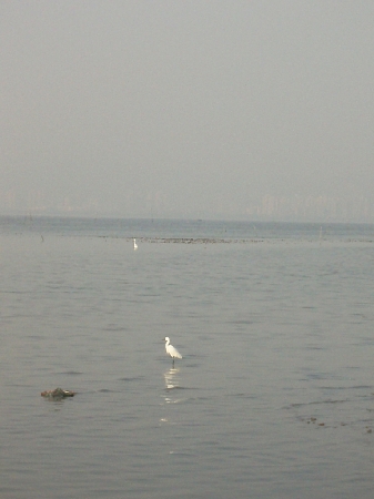 b0092475_2214338.jpg