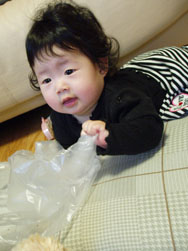 c0105177_9465489.jpg