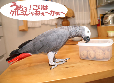 c0004078_757386.jpg