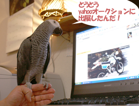 c0004078_7581781.jpg