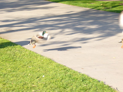 f0104079_16403741.jpg