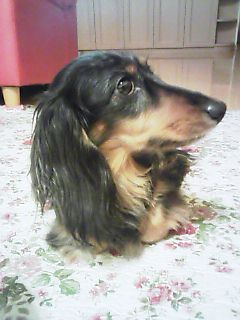 c0020681_2212538.jpg