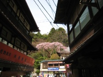 a0062983_9554781.jpg