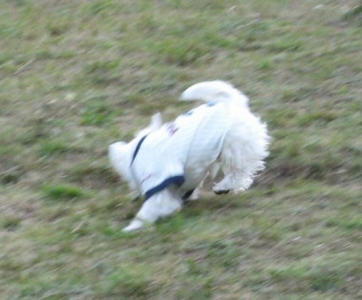 e0110888_132650.jpg