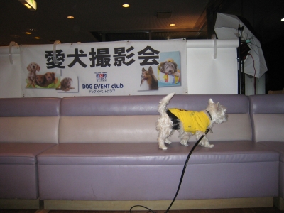e0110888_16541.jpg