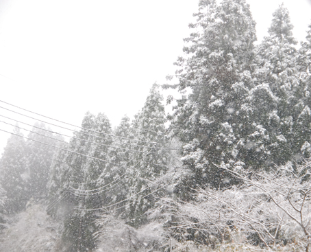 f0132391_1246295.jpg